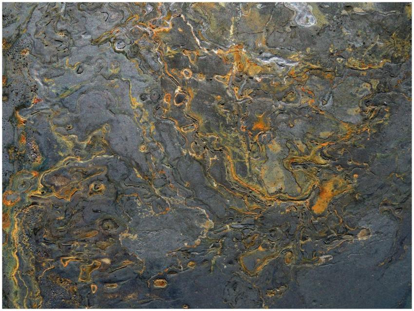 Abstract image of a rocky surface with intricate g