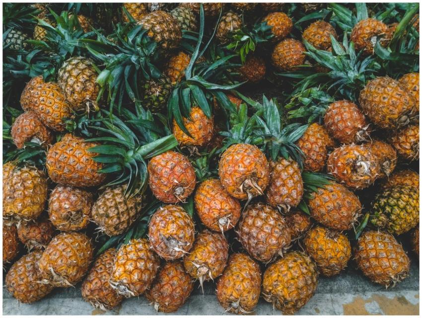 A vibrant display of ripe pineapples at a tropical