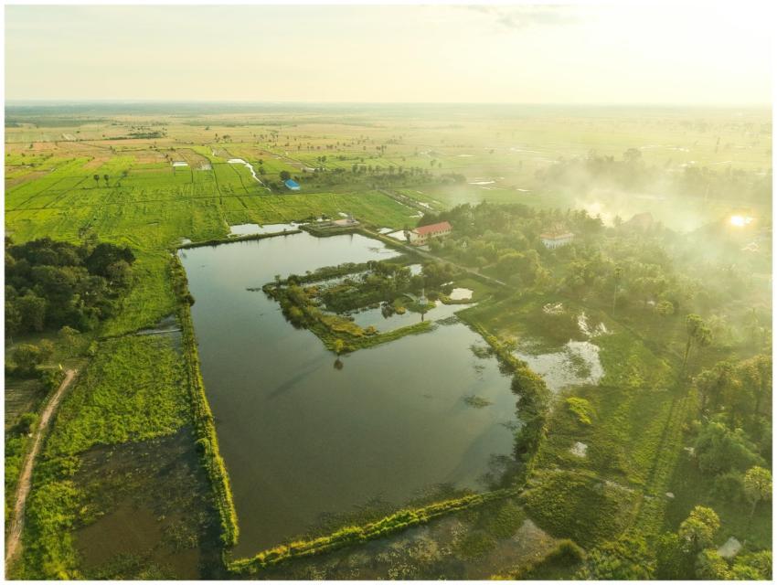 Free stock photo of adorable kitten, aesthetic hom