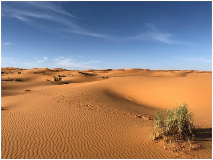 Explore the beautiful sand dunes under a clear blu
