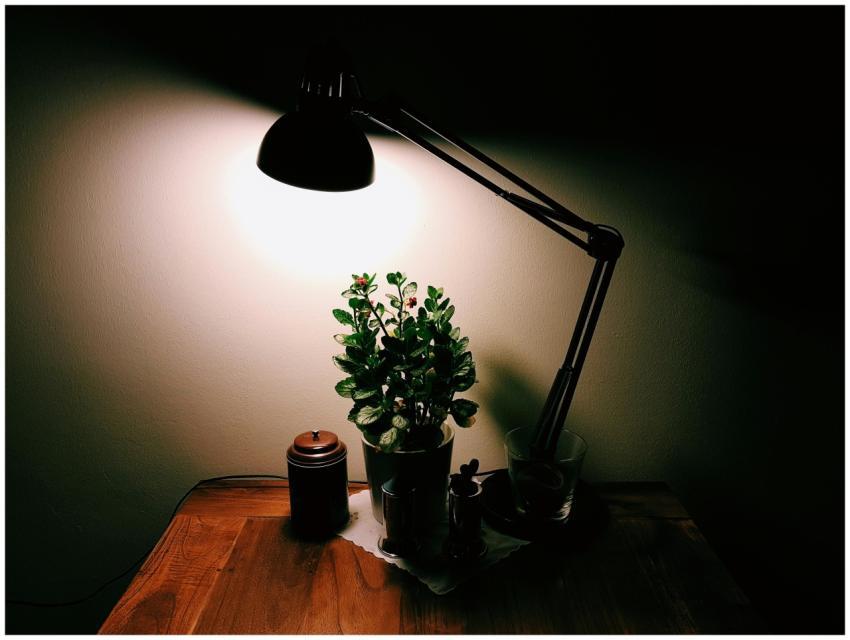 A warm, inviting desk scene with a bright lamp and