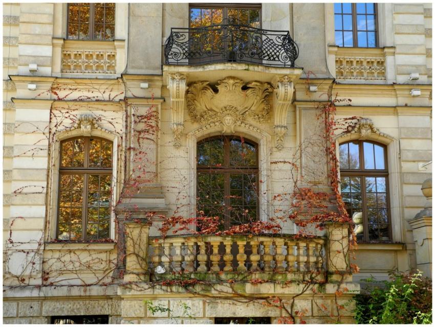 Beautiful historic building facade with autumn vin