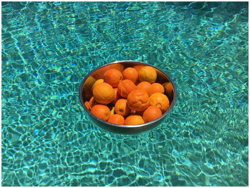 Vibrant oranges floating in a bowl on a clear swim