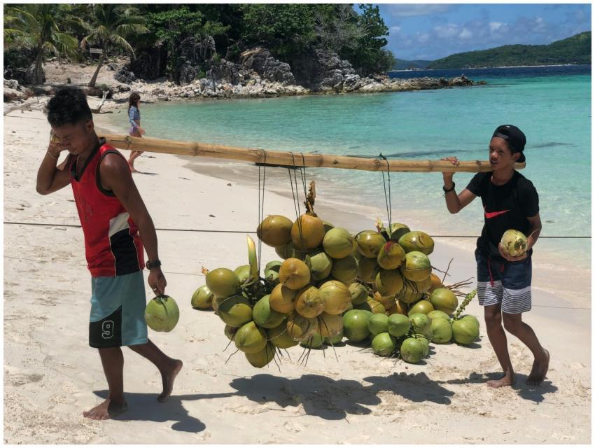 Two men transporting coconuts along a sunny tropic