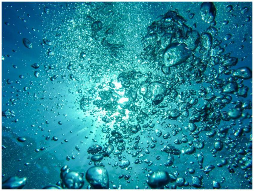 Capture of underwater bubbles rising towards the s