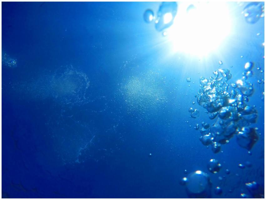 Capture the serene beauty of light filtering throu