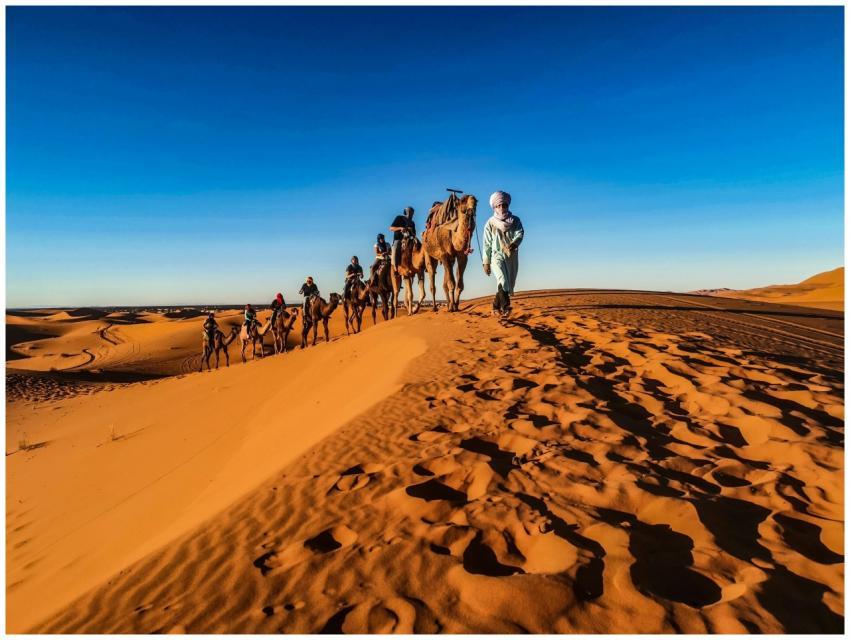 A caravan of camels led by a person traverses the