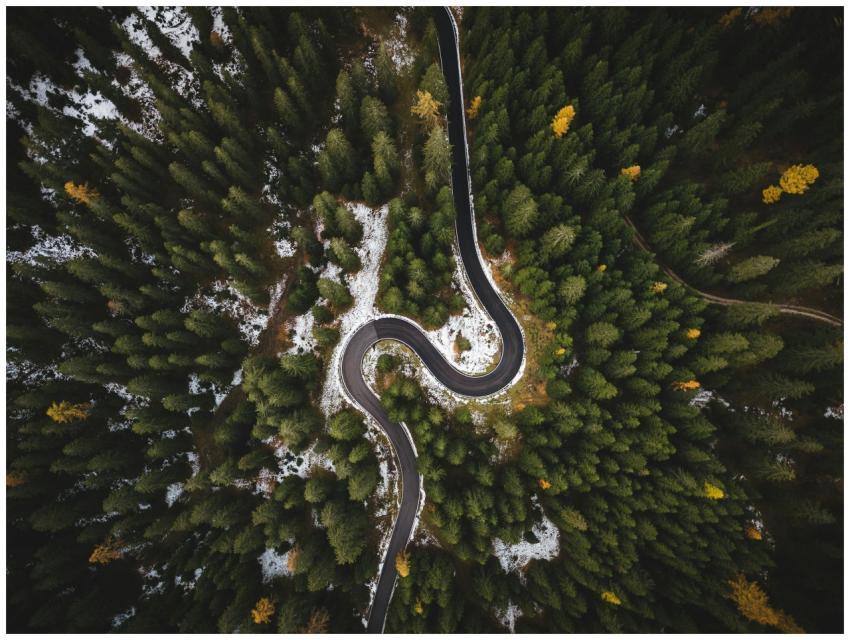 A winding road snakes through a dense forest in Co