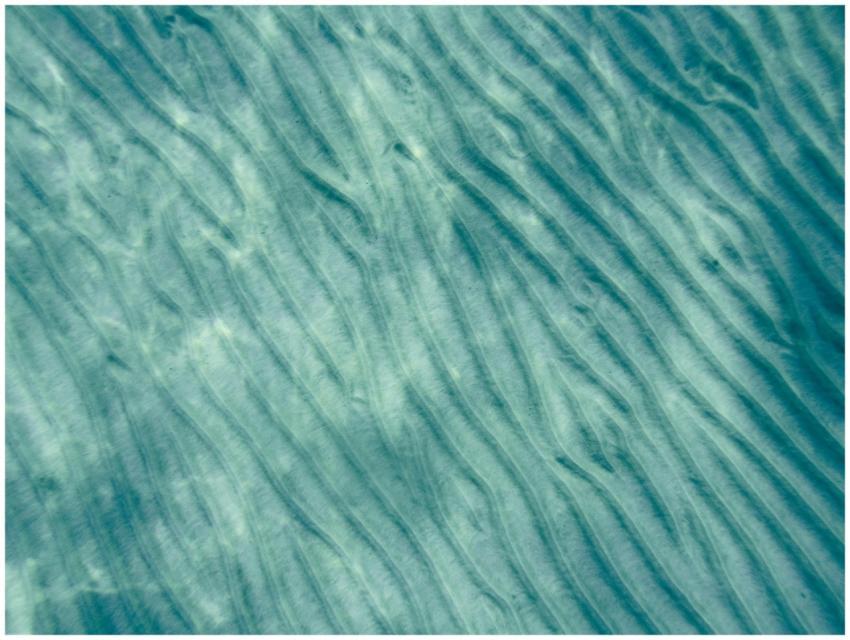 Abstract image featuring wavy teal patterns, ideal