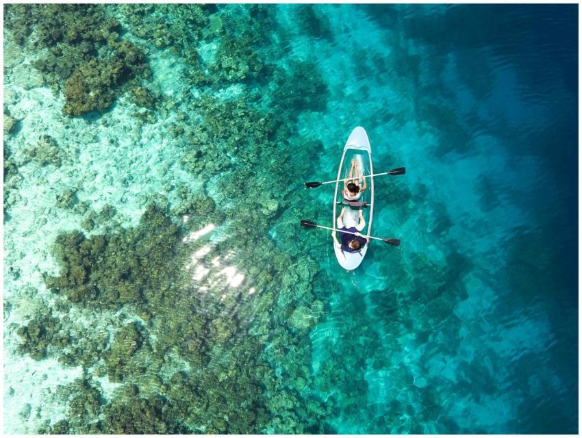 Aerial view of clear canoe gliding over vibrant co