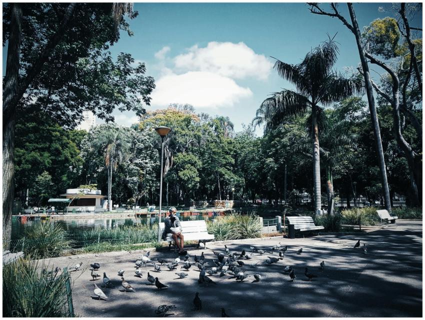A serene scene of a man sitting on a bench feeding