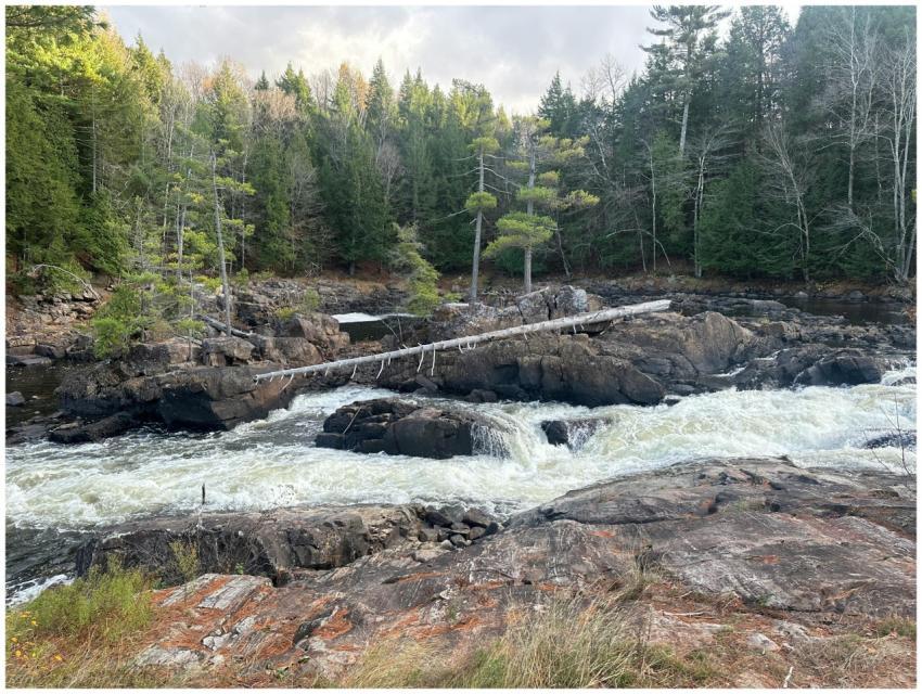 Rushing River Through Forested