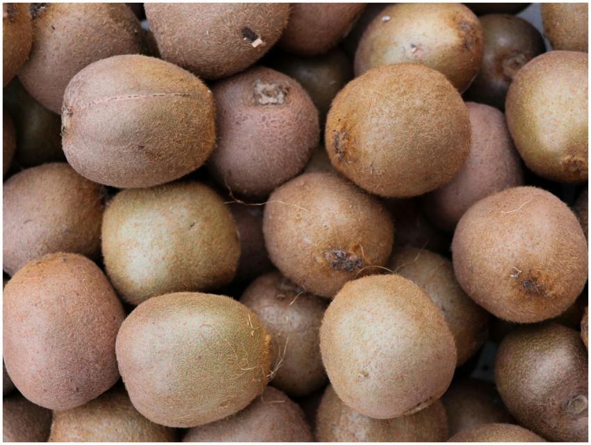 Free stock photo of autumn fruit, autumn fruits, b