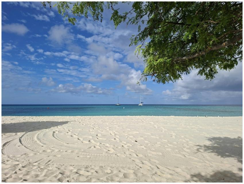 Tranquil Beach Clear Blue
