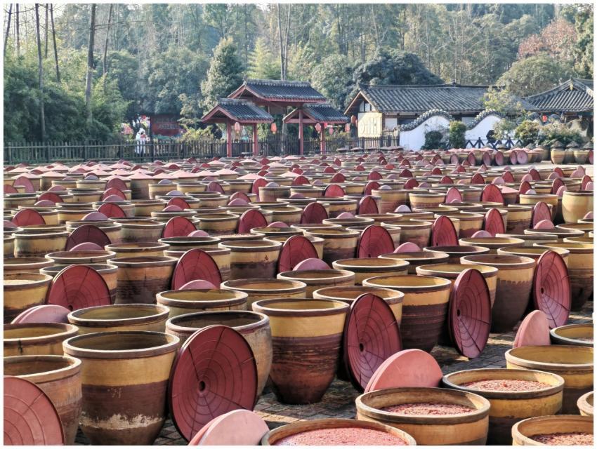 Rows of clay jars in an Asian facility for traditi