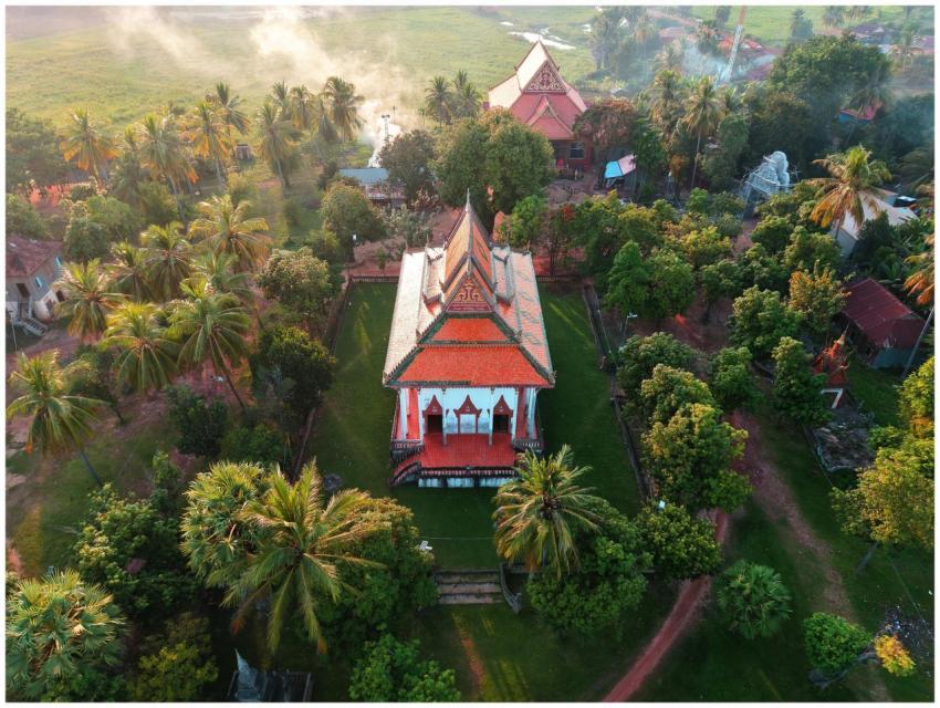 Free stock photo of adorable kitten, aesthetic hom