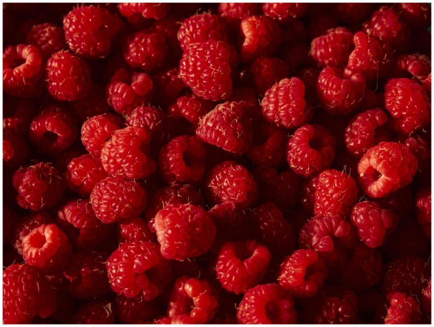 A vibrant pile of fresh raspberries under natural