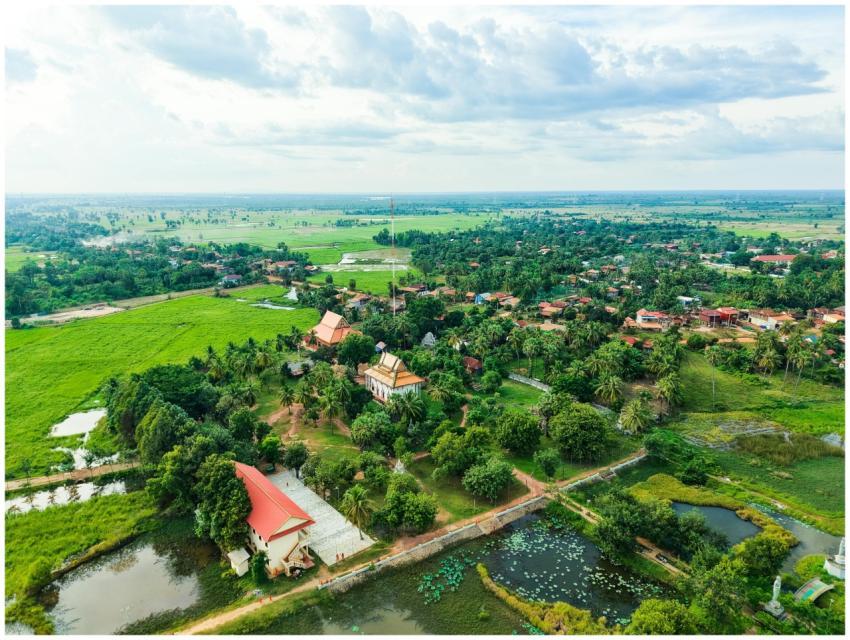 Free stock photo of adorable kitten, aesthetic hom