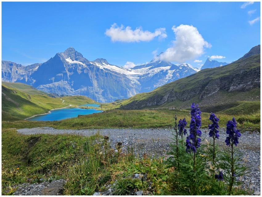 Free stock photo of grindelwald, nature