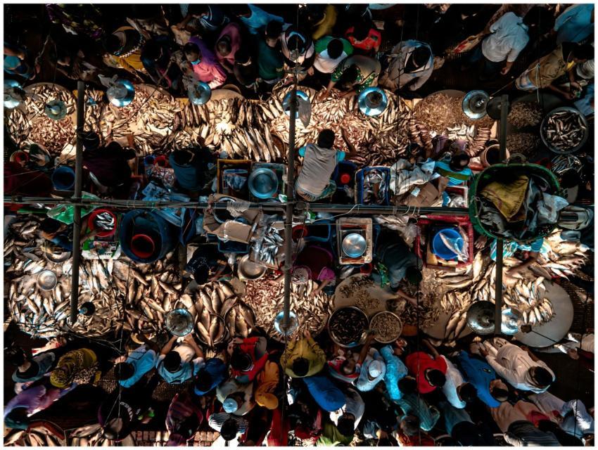 Aerial Bustling Fish Market