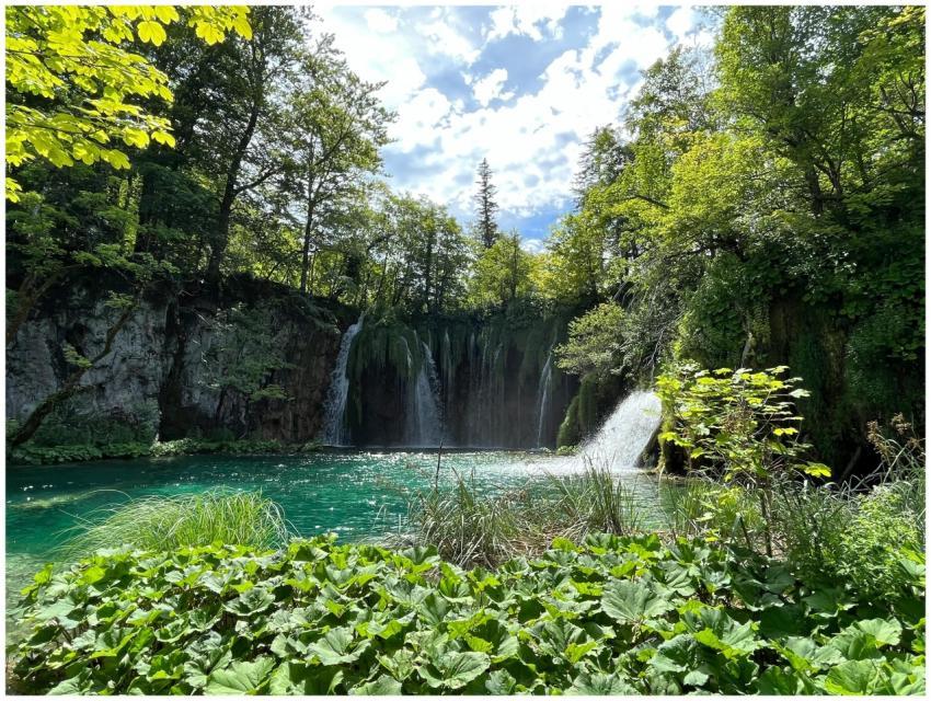 Stunning waterfall surrounded by lush greenery in