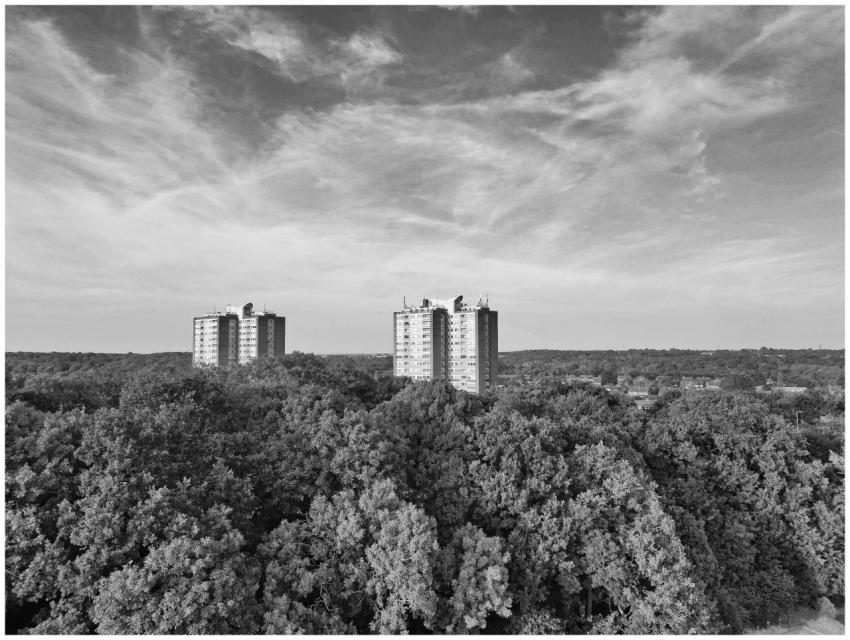 Monochrome Apartment Towers Overlooking