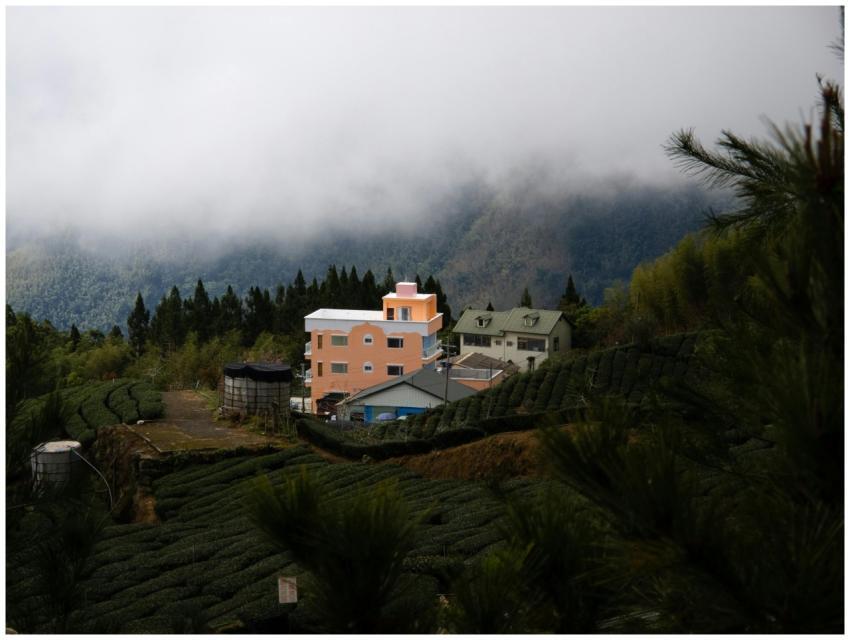 Serene view of a colorful village nestled in misty