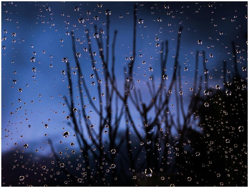 Macro view of raindrops on glass highlighting natu