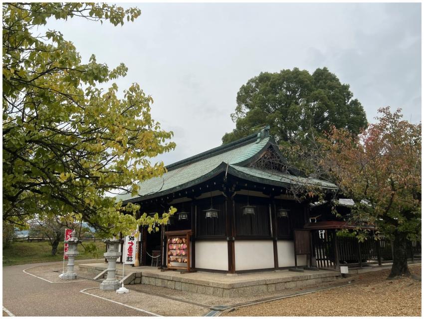 Scenic view of a traditional Japanese shrine surro