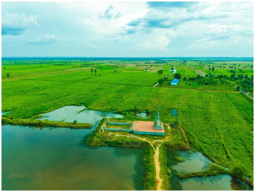 Free stock photo of adorable kitten, aesthetic hom