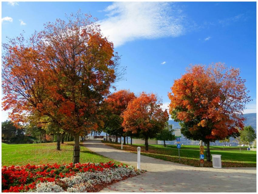 A scenic park with colorful autumn trees lining a