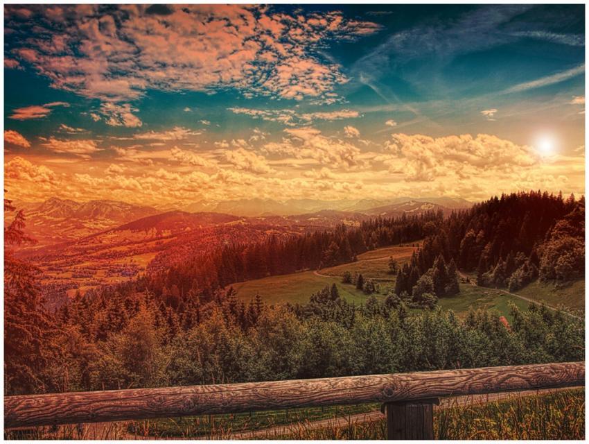 Beautiful mountain landscape with a forest at suns