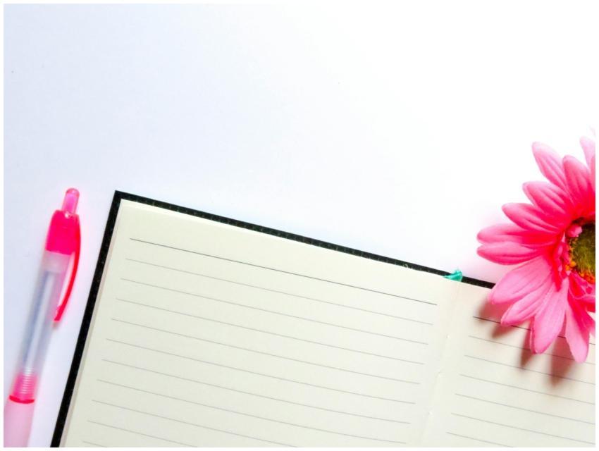 Top-down view of an open notebook with a pink pen
