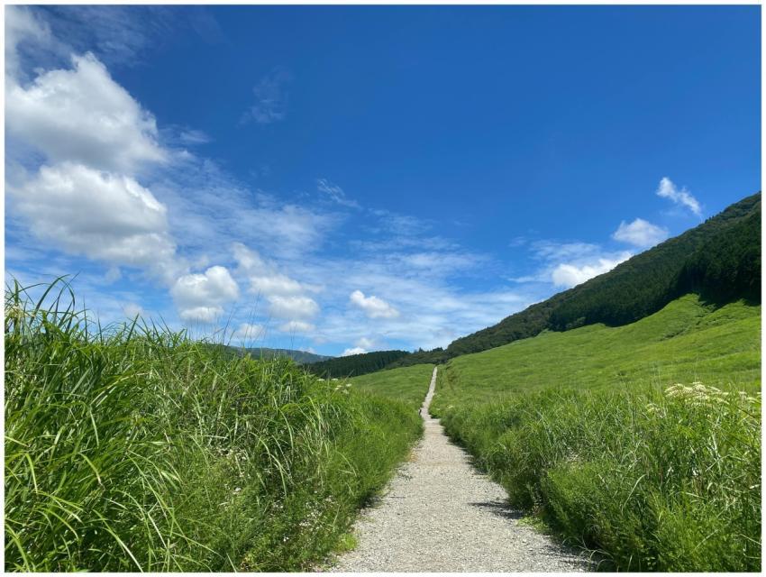 A serene gravel path through lush green hills in H