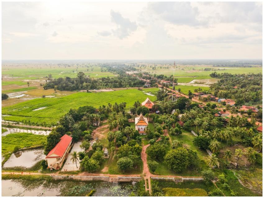 Free stock photo of adorable kitten, aesthetic hom