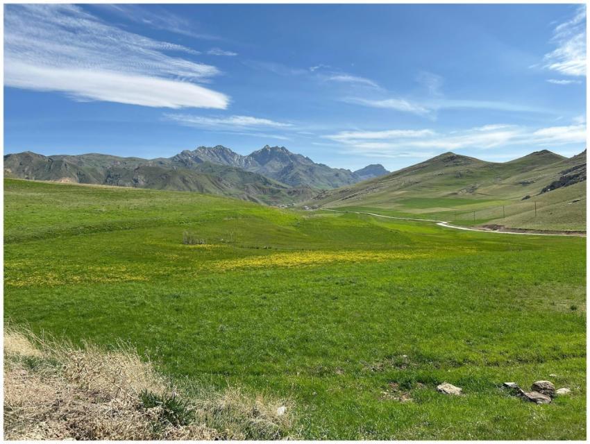 Vibrant green fields and majestic mountains under