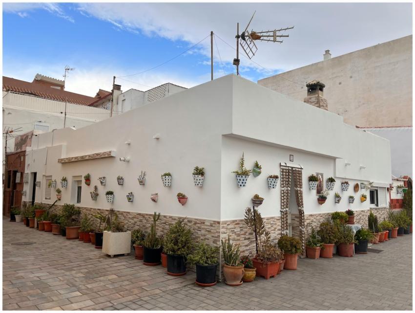 White house adorned with potted plants and hanging