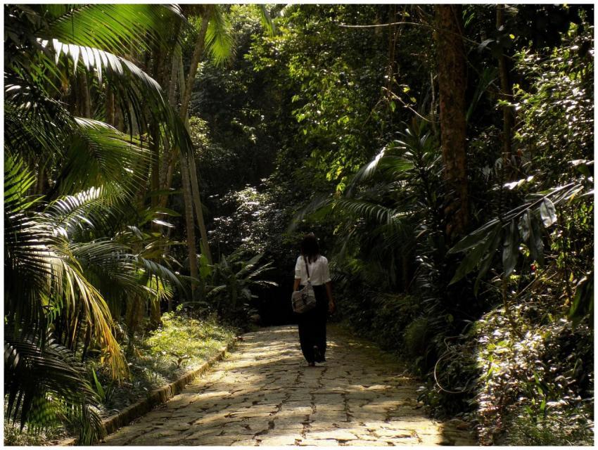 A woman walks alone on a sunlit path through a lus