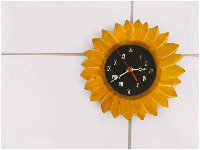 A creative sunflower wall clock with Roman numeral