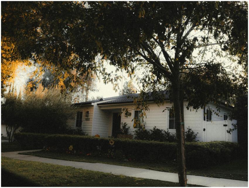 Charming Suburban Home Los