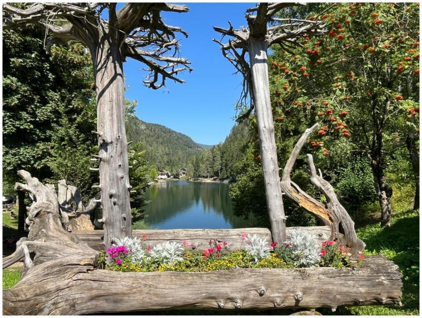 Rustic wooden frame with flowers overlooking lake