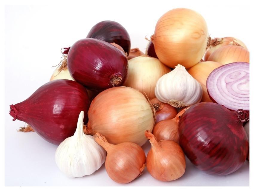 Onions Garlic Vegetables Common Onion