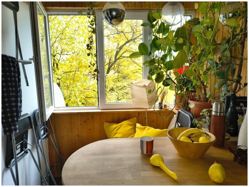 A warm and inviting dining corner adorned with pla