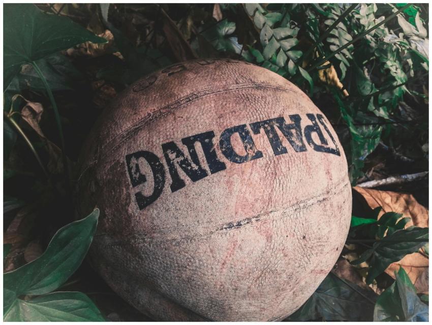 A vintage basketball nestled among outdoor leaves