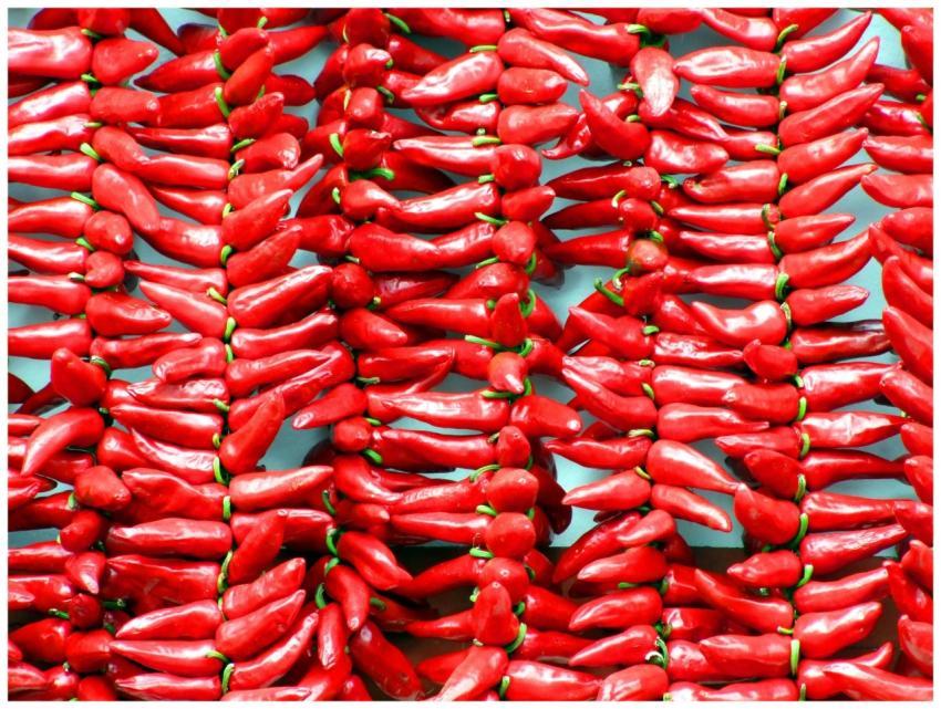 Colorful display of vibrant red Espelette peppers