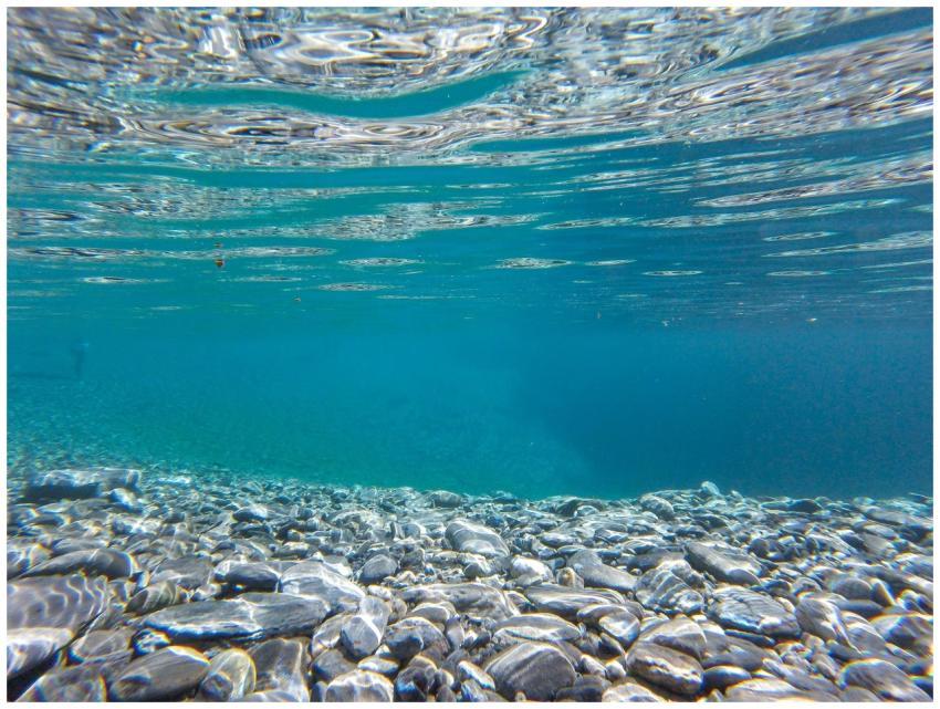 A clear underwater shot showcasing a rocky ocean f