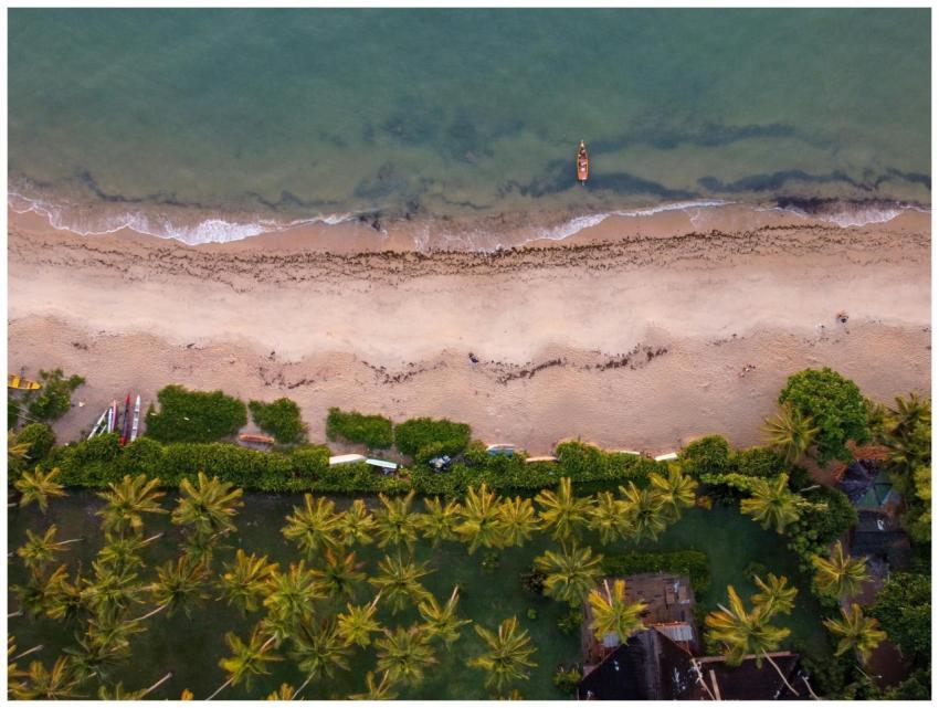A stunning aerial view of a tropical beach in Arra