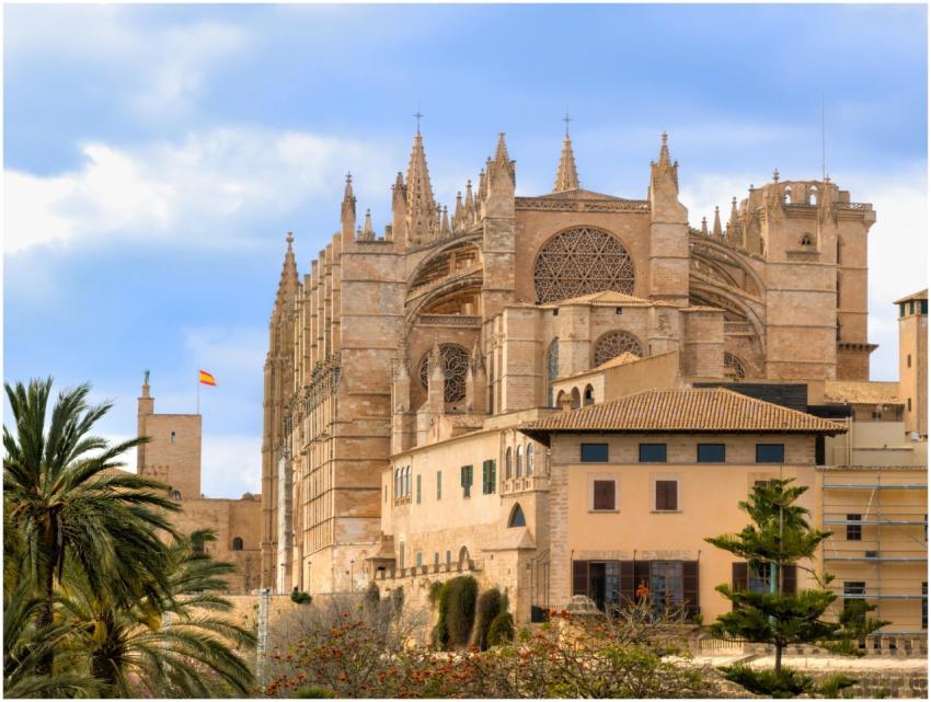 Stunning view of the Palma Cathedral with vibrant
