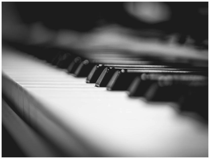 Elegant black and white close-up of piano keys, sh