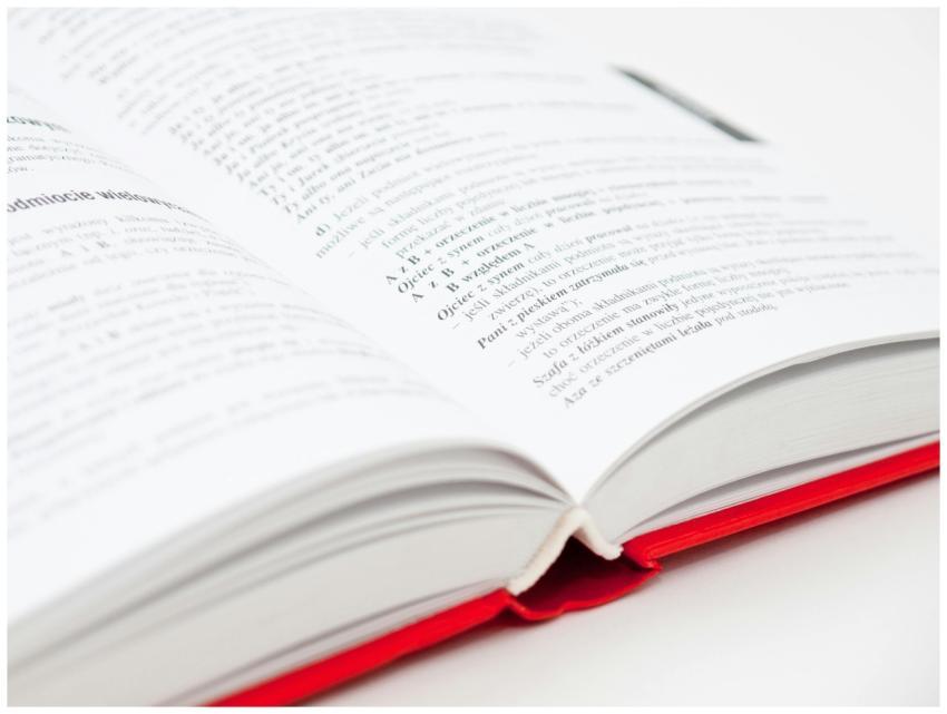 An open book with a red cover showing pages filled